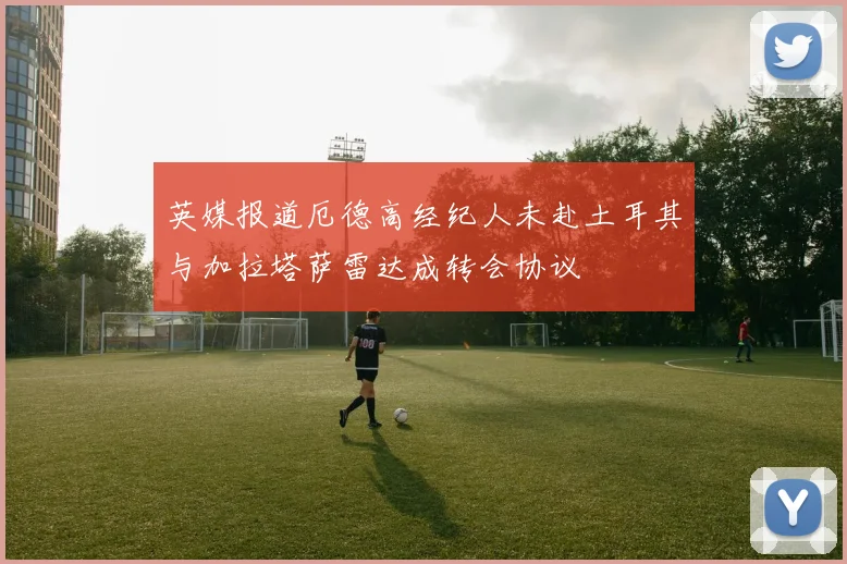 英媒报道厄德高经纪人未赴土耳其与加拉塔萨雷达成转会协议